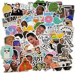 (106 Pcs) Funny Meme Vinyl Stickers Pack, Vine Stickers for Laptop, iPhone, Water Bottles, Computer, and Hydro Flask, DIY Decor for Bumper Wall