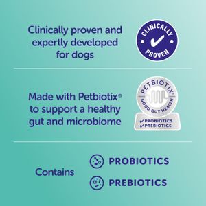 Protexin Pro-Kolin Gut Paste for Pets, 15ml