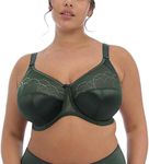 Elomi Womens Cate Underwire Cup Banded Full Coverage Bra, Pinegrove, 46DD US, Pine Grove, (46) DD