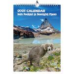 Dogs Pooping in Beautiful Places Calendar 2025, Funny Dogs Pooping Calendar Silly Gifts, Rude Christmas Birthday Secret Santa Ideas Wall Monthly Calendar Planner Presents for Men Women - A4