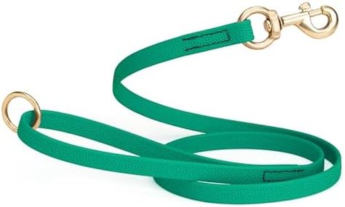 Viper Biothane Dog Leash with No-Slip Pebble Emboss - Waterproof Dog Lead for Training, Beach, Hiking - Great for Play, Camping, or Backyard - Solid Brass Hardware, 5 ft, Teal