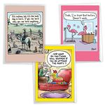 NobleWorks Assortment Pack of 3 Funny Birthday Greeting Cards with Envelopes (3 Designs, 1 Each) Celebration Toons VC8124BDG-C1x3