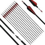 longbowmaker 12pcs Archery Carbon A