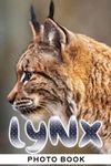 Lynx Photo Book: Fabulous Images Of Lynxes For Adults/ Great Gift /Awesome Illustrations To Relax And Unwind