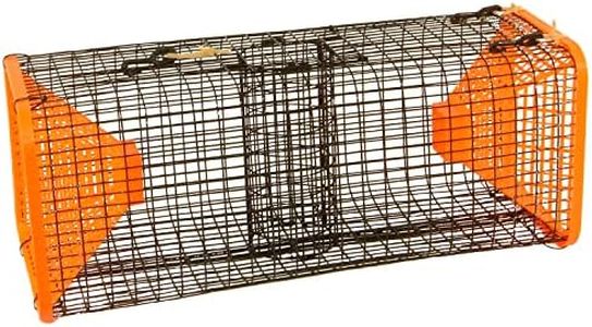 Protoco 9 