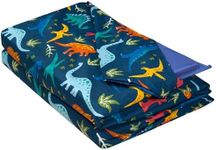 Wildkin Microfiber Nap Mat Cover for Boys & Girls, Sewn-in Flap Design Rest Mat Cover, Perfect for Preschool and Daycare (Jurassic Dinosaurs)