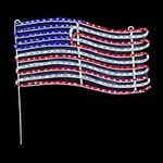 Novelty Lights LED American Flag Ro