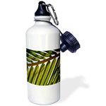 3dRose Palm Trees and Ocean San Blas Islands-Sports Water Bottle, 21oz (wb_10393_1), Aluminum, White