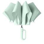 Zemic UV Umbrella with Novelty Carabiner Handle, Travel Umbrellas for Rain and Sun Windproof Compact, Automatic Open Close, 8 Ribs, Portable Umbrella for Men and Women (Light-Green)