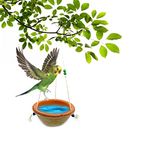 Jainsons Pet Products Earthenware Water Feeder Hanging Bowl for Birds Usefull for Garden, Home and Balcony Jute Will Keep Water Cold (1 pcs)