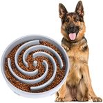 Large Pet Slow Feeder Dog Bowl, Slo