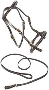 Caldene in-Hand Bridle - Havana, Small Pony