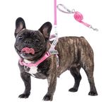 Wuffley Dog Harness and Lead Set, No Pull Harness for Dogs, Anti Pull Harness with Handle and 2 Patches, Reflective Lightweight Pet Harness for Outdoor Training Walking and Running (Pink, S)