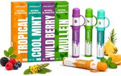 GREENMIST 4-Pack Non-Electric Fragrance Diffuser, On-the-Go Scent, Wild Berry, Cool Mint, Mullein & Tropical Scent