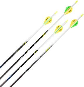 Allen Company Razor RZ3² Premium Archery Carbon Arrows, 30-Inch, 4 Pack, Gray (one Size)