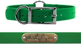 Outdoor Dog Supply's 1" Wide Solid Ring in Center Dog Collar Strap with Custom Brass Name Plate (21" Long, Dark Green)