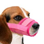 Fit Mesh Muzzles