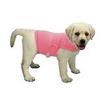 KittyStar Breathable Dog Shirt for 