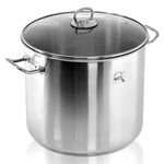 GEEZY Stainless Steel Stockpot with Lid 9L Cooking Pot with Lid Large Deep Casserole Pot Kitchen Cookware Double Handle Soup Pot