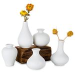 Sziqiqi Small White Ceramic Vase Set of 5, Decorative Vases for Flowers with Minimalist Design for Home Table Centerpiece, Modern Handmade Vase for Wedding Office Living Room Kitchen Decoration