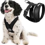 Gooby Harness For Dogs