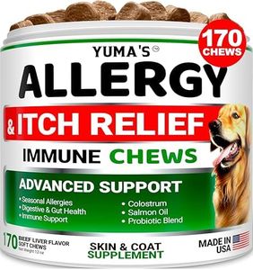 Dog Allerg