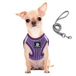 Dog and Cat Universal Harness with Leash - Cat Harness Escape Proof - Adjustable Reflective Step in Dog Harness for Small Dogs Medium Dogs - Soft Mesh Comfort Fit No Pull No Choke