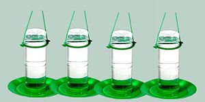 Amijivdaya Medium Water Feeder (4 Pieces)