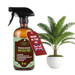 GARDENNOVA Professional Organic Liquid Kelp Spray for Palm Tree Plants - 8 oz - Ready-to-Use Fully Organic Seaweed & Kelp Fertilizer Mist