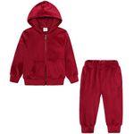 Girls 2-Piece Zip-up Clothes Fleece Active Hoodie and Athletic Jogger Sweatpants and Sweatshirt Children Clothing Set Red 8-9 Years