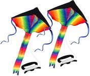 High Performance Kites