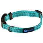 Max and Neo NEO Nylon Buckle Reflective Dog Collar - We Donate a Collar to a Dog Rescue for Every Collar Sold (X-Small, Teal)