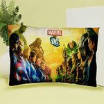 JUZZII Velvet Printed DC Vs Marvel Superhero Cushion Decorative Throw Pillow for Sofa, Home, car, Decorative Square Cushion Gift for Boys Girls Kids Friends and Home Dcor (Size 12x16 Inch)