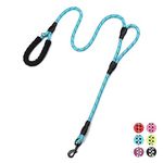 Plutus Pet Rope Dog Leash 6ft long,Traffic Padded Two Handle,Heavy Duty,Reflective Double Handles Lead for Control Safety Training,Leashes for Large Dogs or Medium Dogs,Dual Handles Leads(Light Blue)