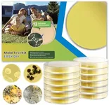 Mold Test Kit for Home - 12 Detecti