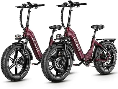 Heybike Ra