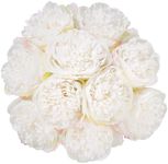 U'Artlines 20 Heads Artificial Peony Silk Flower Leaf Home Office Wedding Party Festival Bar Decor (Cream White)