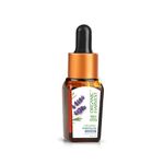 Organic Harvest Organic Essential Oil: Lavender | Essential Oil For Face Care, Skin Care & Hair Care | For Home Fragrance | 100% American Certified Organic | Sulphate & Paraben-free |10ml