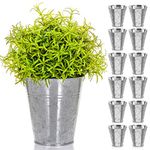 LIVIVO Pack of 12 Galvanised Iron Metal Flower Pots in Weather Resistant Metal for Indoor or Outdoor Use, Ideal for Plants, Herb Collection, Flowers and Shrubs