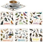 Set of 6 Bird Pun Coasters, Bird Pun Coasters for Drinks, Square Coaster Set for Cups Home Funny Coasters Set for Bird Lover Friends Bar Housewarming Gift Coffee