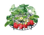 UPP Strawberry Plant Supports | Strawberry Supports Elevate the Fruit and Prevent Rot | Tomato Plant Supports Are Highly Effective Against Snails & Slugs [20 pcs.]