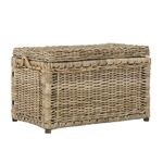 happimess Jacob 30" Wicker Storage Trunk, Natural
