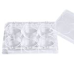 ADAMAS-BETA 6-Well Sterile Culture Plate, TC Treated Cell Culture Plates Tissue Culture Treated Plate, Individually Wrapped, Pack of 10