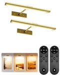 EZVALO 13'' Picture Light for Wall, 4800mAh Rechargeable Wireless Lights with IR Remote, Dimmable Magnetic LED Art Display Light with 3 Color Temp, for Gallery, Living Room, Bedroom (Gold-2Pack)