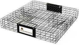 Rugged Ranch Squirrel Trap, Live An