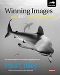 Winning Images with Any Underwater 