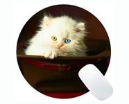 Mouse mat,Hat kitten animal cute cat Round Mouse pad,Mouse mat for Computer cat096