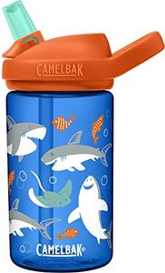 CamelBak e