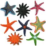 Zyael Sinkies for Kids Swimming,Diving Pool Toys Swimming Pool Toys Diving Toys Beach Colorful Starfish Underwater Training Diving Game Toys Sinkers Pool Toy Weights Game for Kids Toddlers Age 3+