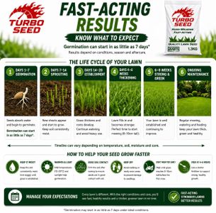 Avern Turbo Grass Seed 1.3kg – Fast Growing Lawn Seed